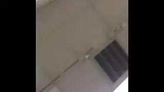 الكلبة بيانو نائب الرئيس غرغرة