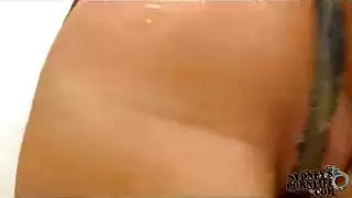 رئيس الديك ضخمة مصارعة