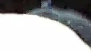 جليك السري طيزي فيفي عبده نيكويت