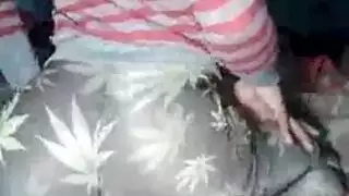 هنتاي عنيف: ران تئن بينما شينشي يضرب مهبلها