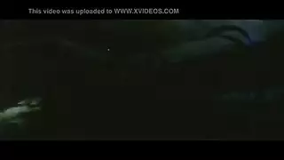 الذات الوجه الهرة الأكل حمامات الشمس