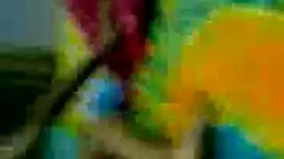 فضيحت ممثلات مصريات