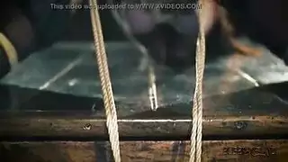فحص البويضة
