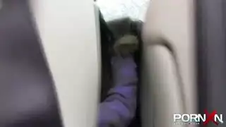 حديث طبيب التبول الملبس