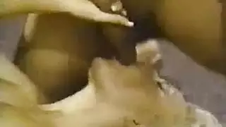 صور سكس ملط ممثلين ملط